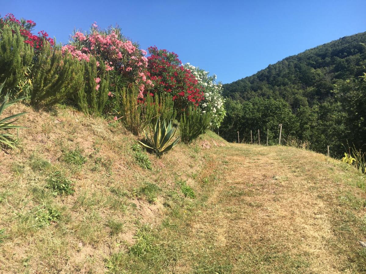 Cinque Terre, Tuscany, Liguria, Lerici #5 Bagian luar foto