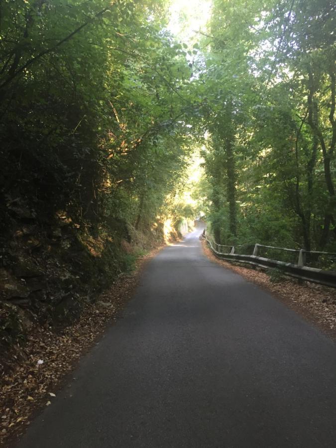Cinque Terre, Tuscany, Liguria, Lerici #5 Bagian luar foto